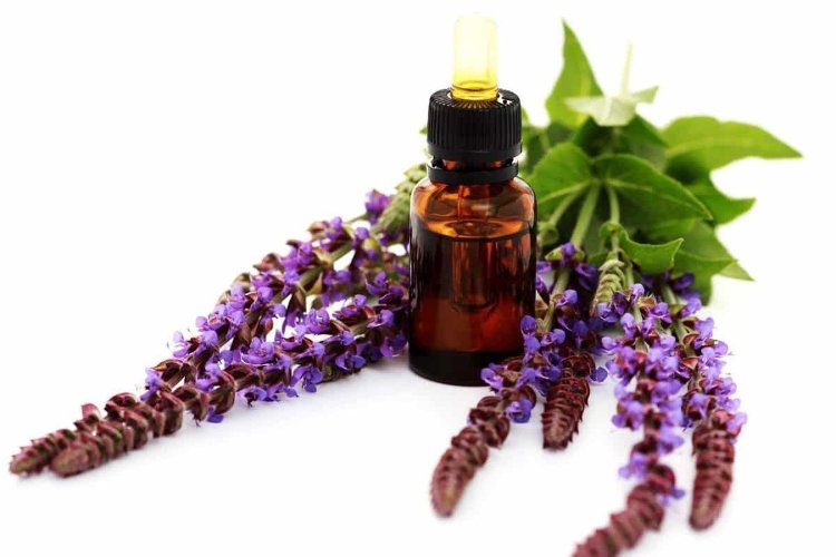 Эфирное масло Шалфея  